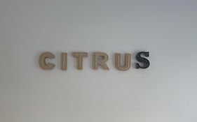Citrus Suite By Alhaurin Loft City Center