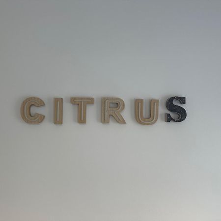 Citrus Suite By Alhaurin Loft City Center Alhaurín de la Torre Exterior foto